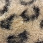 Image result for Snow Leopard Paws