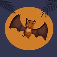Image result for Night Bat