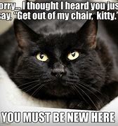 Image result for Dark Humor. Cat Memes