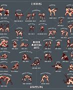 Image result for Deadliest MMA Moves