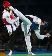 Image result for Taekwondo Practice Equipment