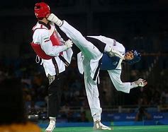 Image result for Taekwondo Heavy Bag