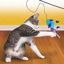 Image result for Good Toys for Cats