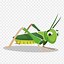 Image result for Cricket-Themed Clip Art