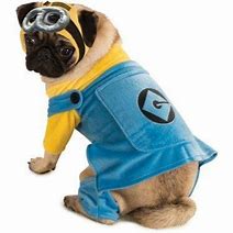 Image result for Minion Dog Costume