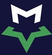 Image result for Dallas Maveicks Logo
