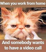 Image result for Work From Home Animal Meme