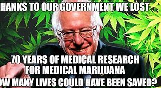 Image result for Medical Cannabis Memes