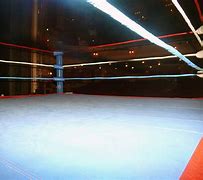Image result for WWE Backyard Wrestling Ring