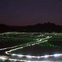 Image result for Kyushu Grass Path