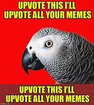 Image result for Repeating Bird Meme