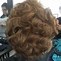 Image result for 90 Degree Angle Hair