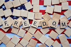 Image result for Freedom Democracy