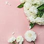 Image result for Light Floral Design Pink