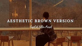 Image result for Aesthetic Brown Filter