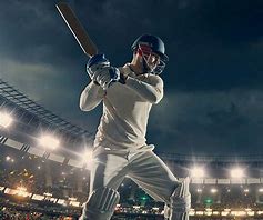 Image result for Image of Cricket Fieldan