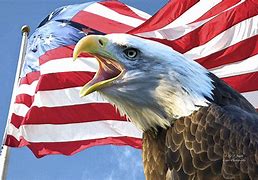 Image result for American Freedom Symbols