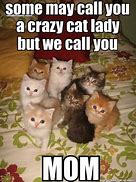 Image result for Crazy Cat Lady Funny Mother's Day