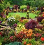 Image result for Autumn Garden Wallpaper Desktop