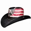 Image result for Redneck Cowboy Hat