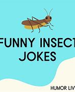 Image result for Funny Bug Quotes