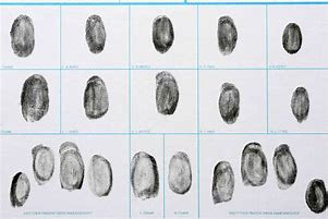Image result for Set of Fingerprints