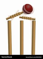 Image result for Wicket and Ball Photos