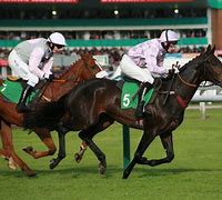 Image result for English Horse Racing