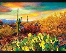 Image result for Arizona Desert Posters