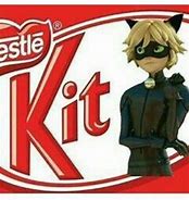 Image result for Miraculous Ladybug Chat Noir Funny Memes