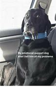 Image result for Emotional Support Dog Meme
