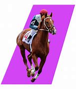 Image result for Horse Racing Vedic Age Pics