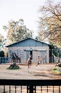 Image result for sacramento zoo