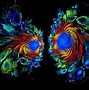 Image result for Peacock Feather 3D Wallpaper