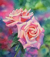 Image result for Pink Rose Watercolor Painting