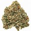 Image result for African Kush