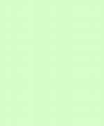 Image result for Light Mint Green Color