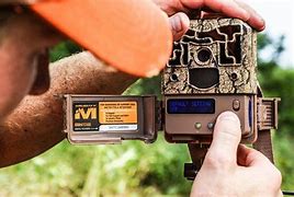 Image result for Trail Camera vs Deer Camera