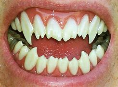 Image result for Razor-Sharp Teeth Lovecraftian