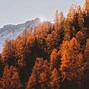 Image result for Cute Fall Wallpaper