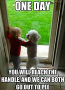 Image result for Smiling Baby and Dog Meme