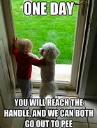 Image result for Kid-Friendly Memes Dog Weird
