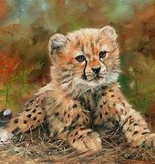Image result for Cheetah Artwork