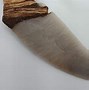 Image result for Jawbone Knife