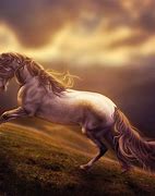 Image result for Amazing Horse