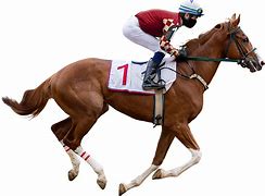 Image result for Horse Race Track in England
