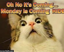 Image result for OH No Monday Meme