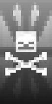 Image result for Skeleton Banner Minecraft