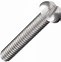 Image result for Apple Screws