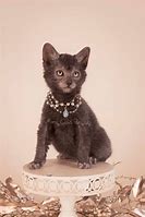 Image result for cat�lico